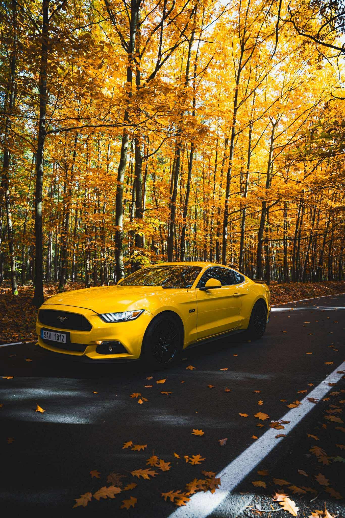 FORD MUSTANG 